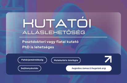 Hír bevezető kép